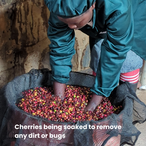 Rwanda Kinini - Natural