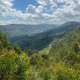 Rwanda Kinini - Natural