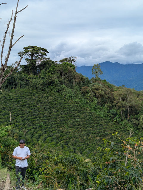 Peru Finca Artemira - Family Lot