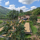 Rwanda Kinini - Natural